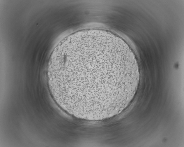 X0000116781390201001281645