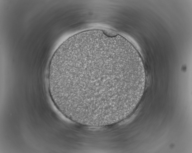 X0000116781391201001281645