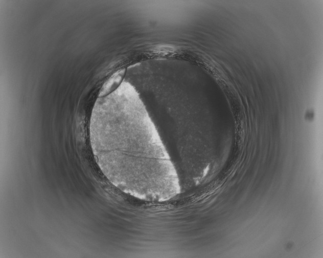 X0000116781394201001281644