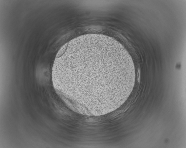 X0000116781395201001281644