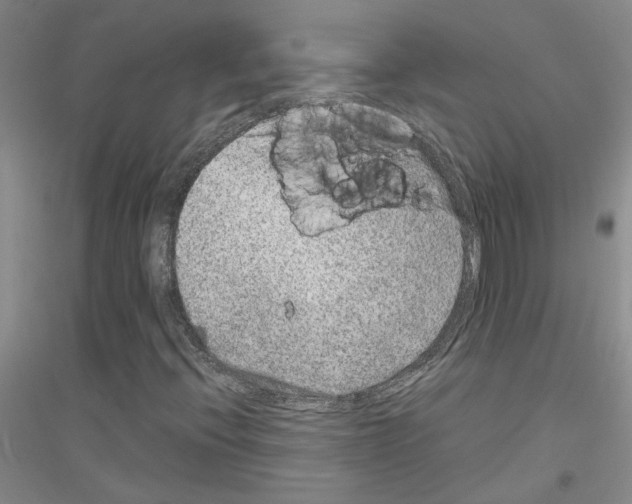 X0000116781396201001281644