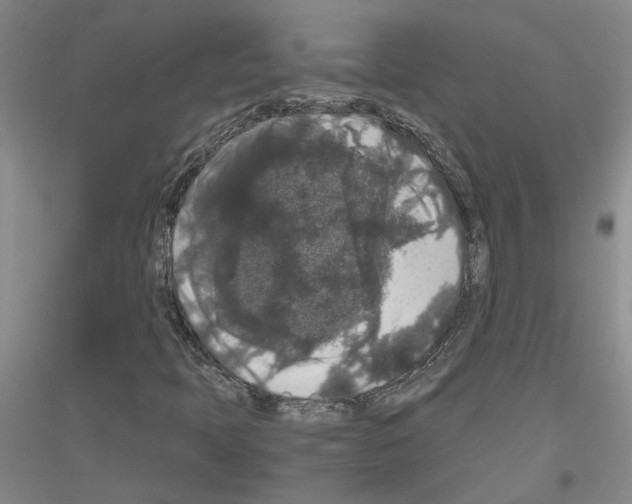 X0000116781397201001281644