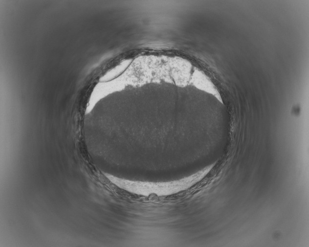 X0000116781398201001281644