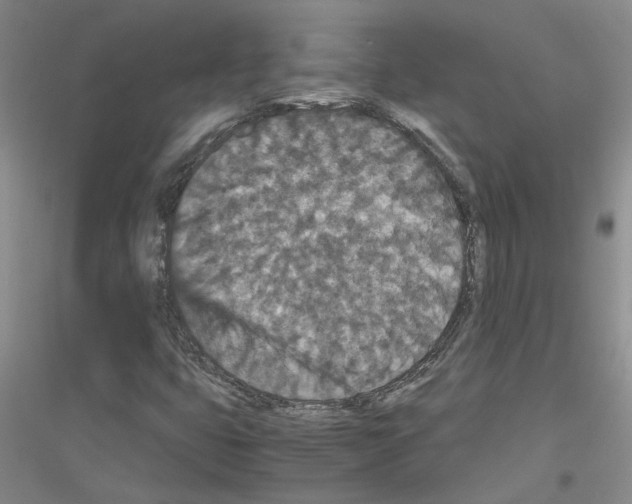 X0000116781399201001281644