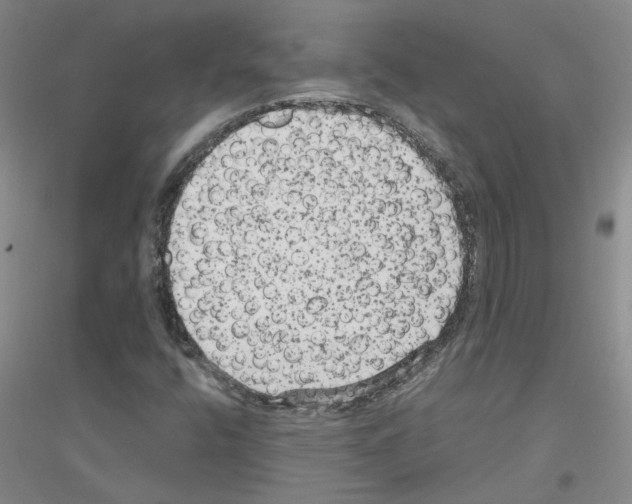 X0000116781400201001281644