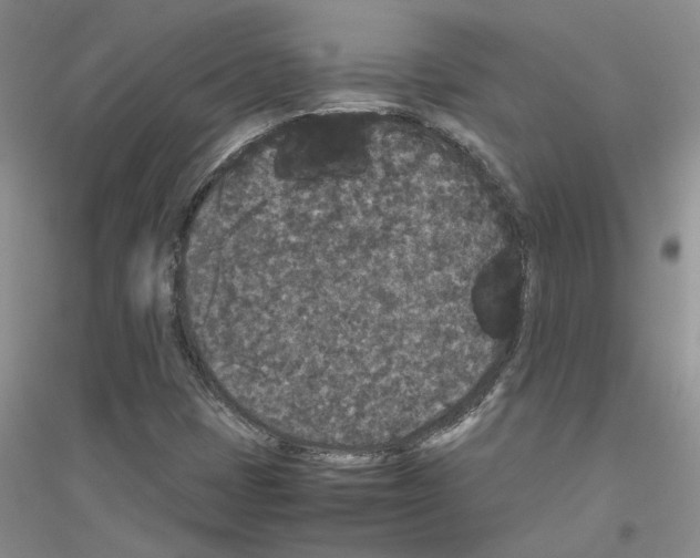 X0000116781401201001281644