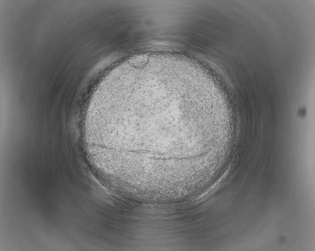 X0000116781402201001281644