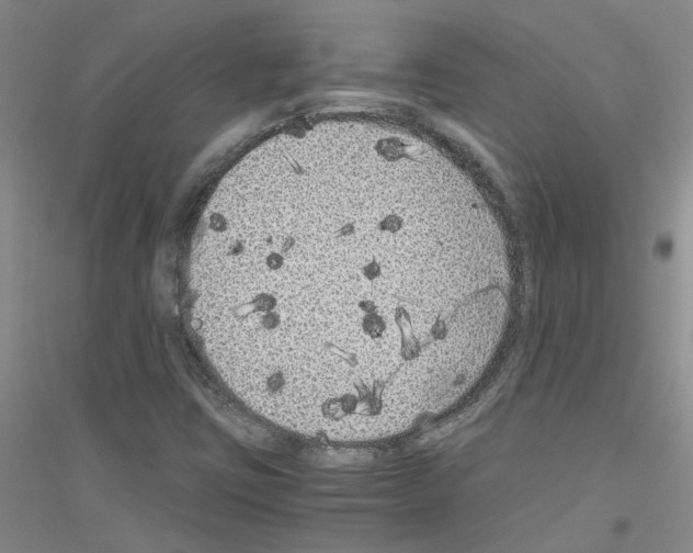 X0000116781403201001281644