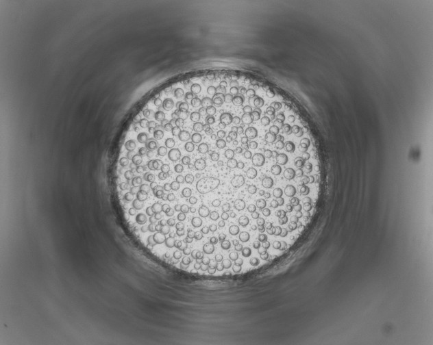 X0000116781404201001281644