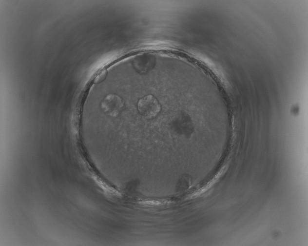 X0000116781405201001281644