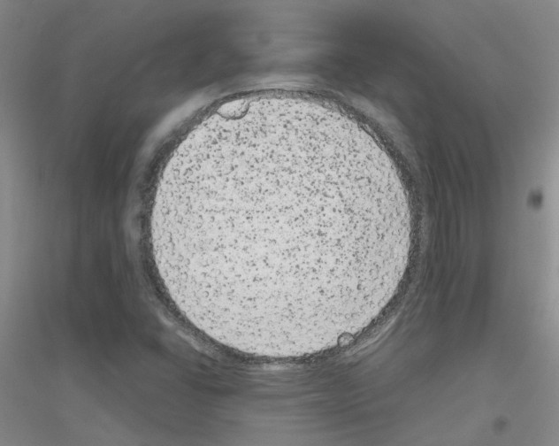 X0000116781406201001281644