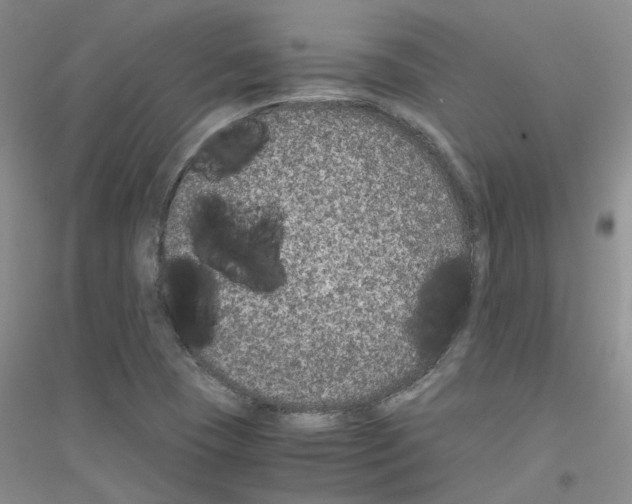 X0000116781409201001281644