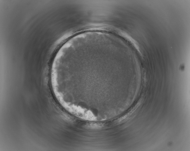 X0000116781411201001281644