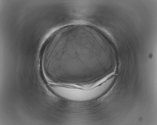 X0000116781414201001281644