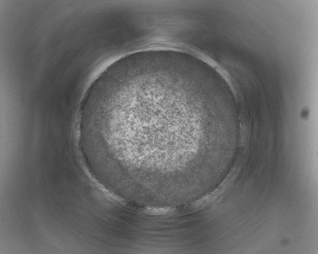 X0000116781415201001281644