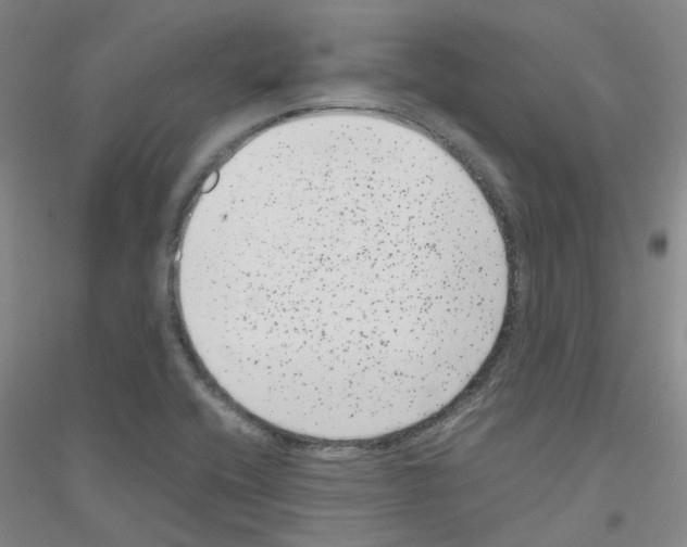 X0000116781416201001281644