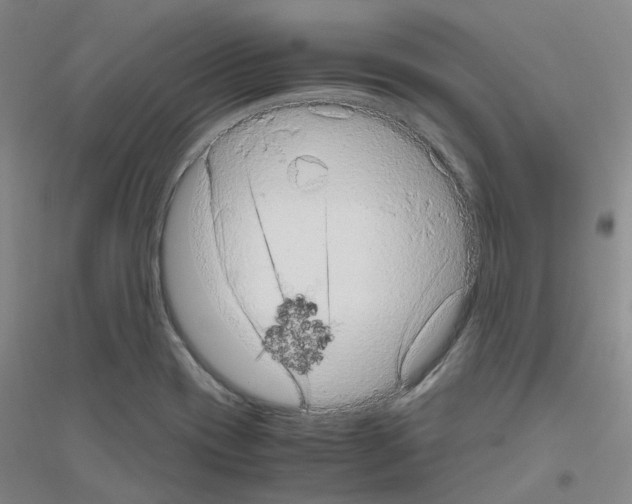 X0000116781417201001281644