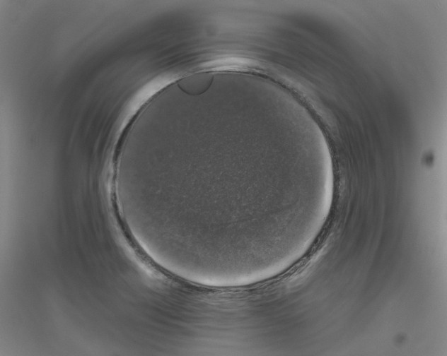 X0000116781418201001281644