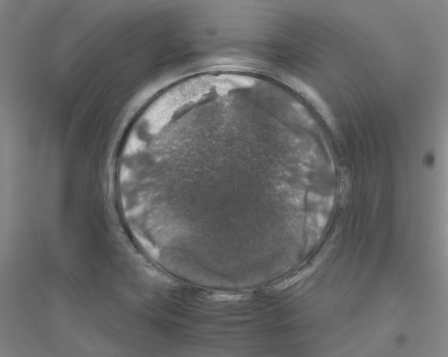 X0000116781419201001281644