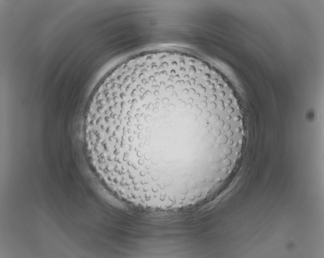 X0000116781420201001281644