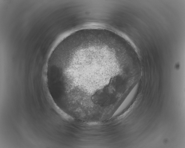 X0000116781421201001281644