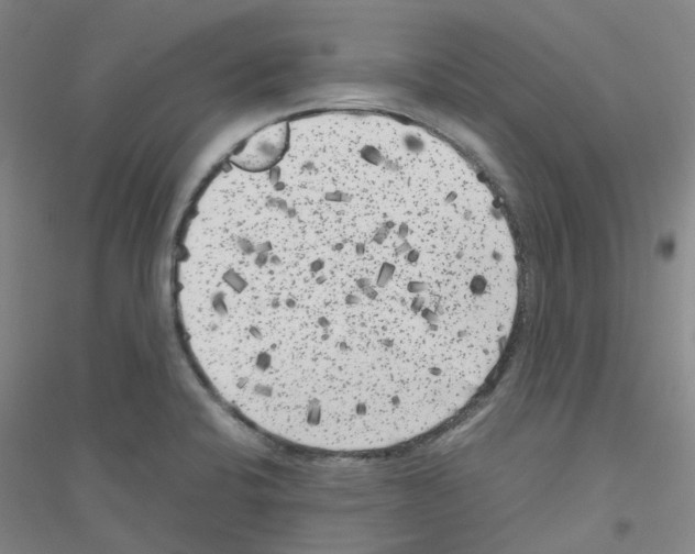 X0000116781424201001281644