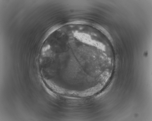 X0000116781425201001281644