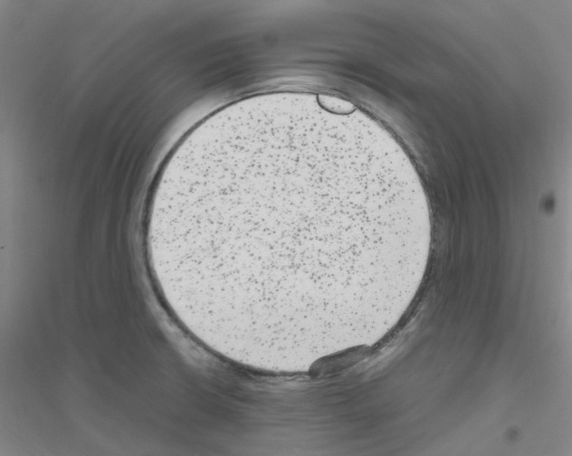 X0000116781426201001281644