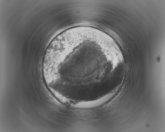 X0000116781428201001281645