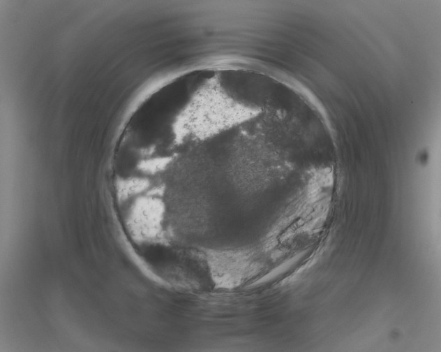 X0000116781429201001281645