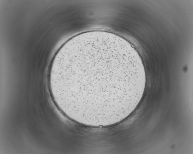 X0000116781430201001281645