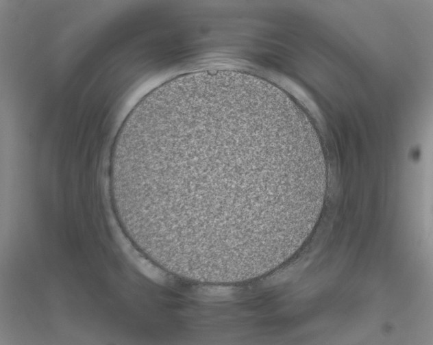 X0000116781431201001281645