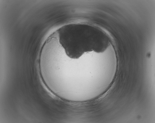 X0000116781432201001281645