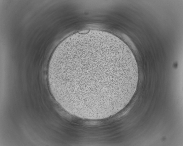 X0000116781435201001281645