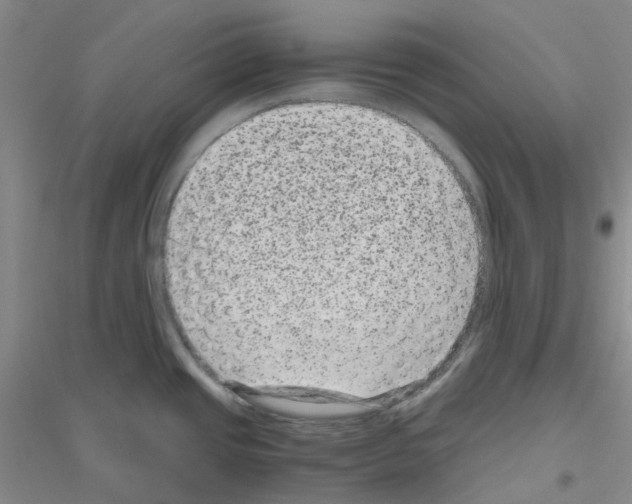 X0000116781437201001281645