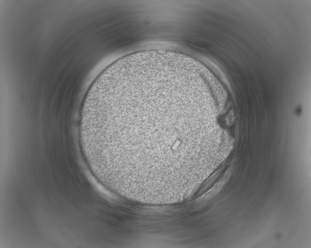 X0000116781438201001281645