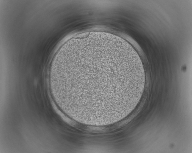 X0000116781439201001281645