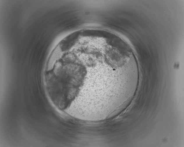 X0000116781440201001281645