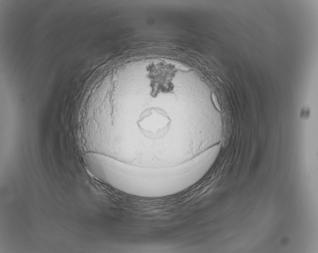 X0000116781441201001281644