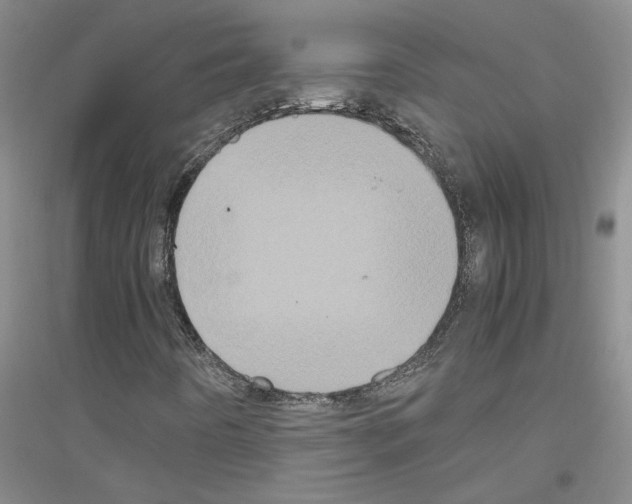 X0000116781442201001281644