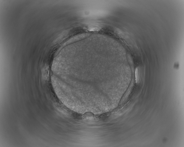 X0000116781443201001281644