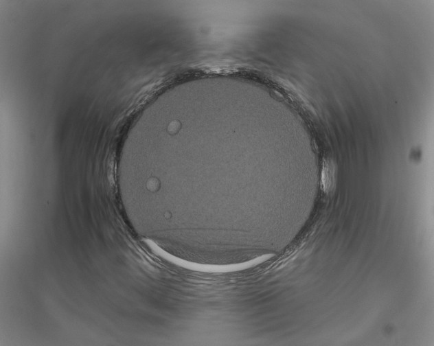 X0000116781444201001281644