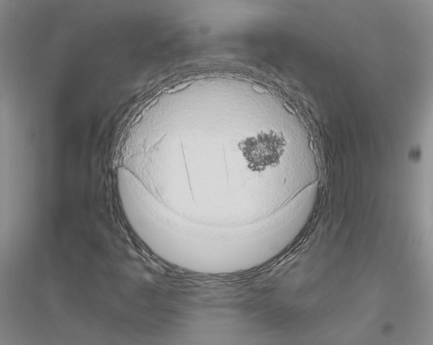 X0000116781445201001281644