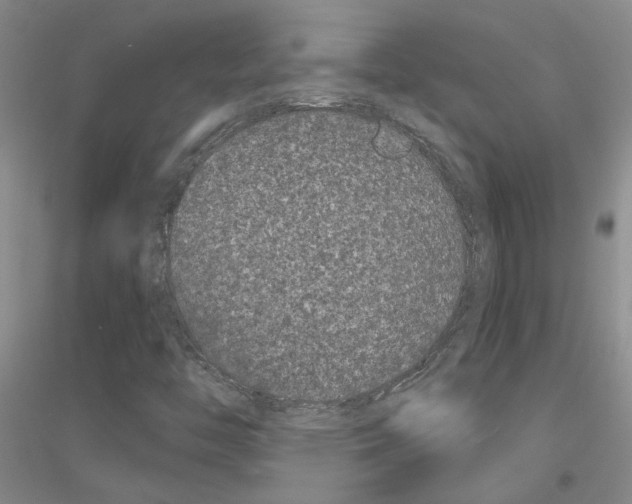 X0000116781446201001281644