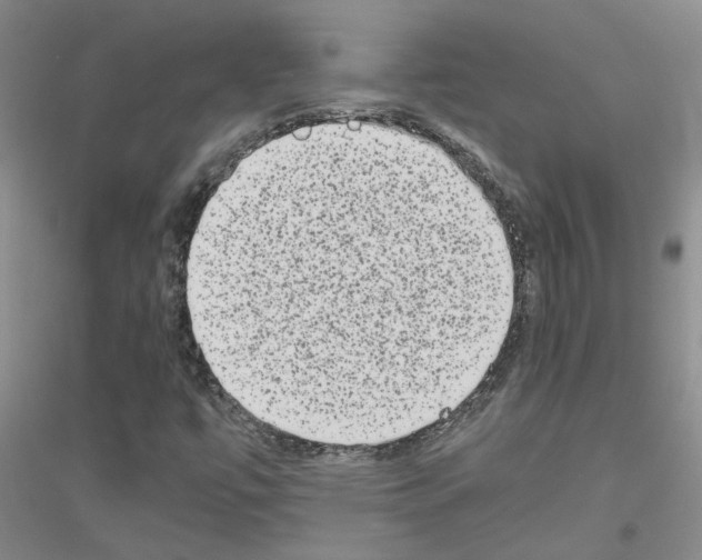 X0000116781447201001281644