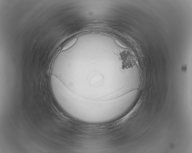 X0000116781449201001281644