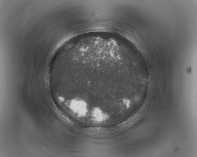 X0000116781450201001281644