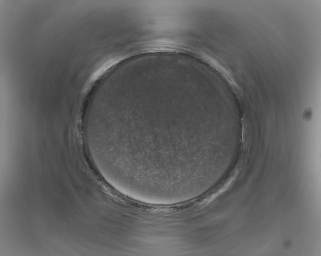 X0000116781453201001281644