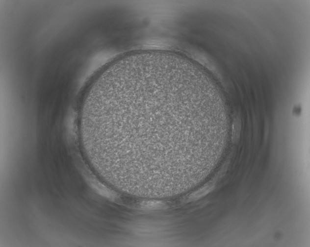 X0000116781454201001281644