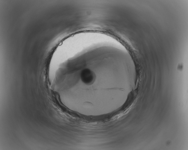 X0000116781455201001281644